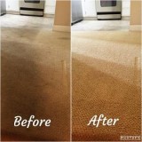 The Carpet and Tile Cleaning Guy