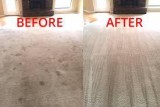 qiuck carpet cleaning service 
