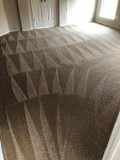Professional Carpet cleaning exceptional service
