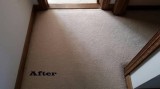 Commercial carpet steam cleaning