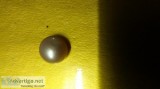 Precious pearls ready for sale