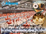 Eco Water Softener Suppliers for Poultry