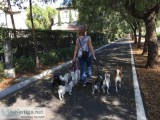Small Dog Care