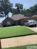 Female roommate wanted