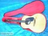 Vintage Adult Applause acoustic deep bowl guitar  And Case
