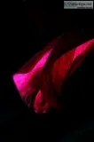 Challenging Abstract Photography