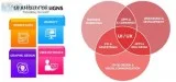 UiUx Design Service  UiUx Design and Development Services