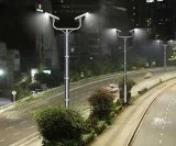 Integrated Solar Street Light
