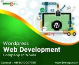 Wordpress Web Development Company In Noida