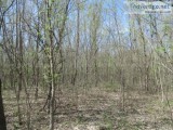 23.8 Acres of Prime recreational Land in Missouri