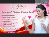 Plantable Greeting Cards