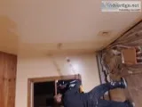 Expert Painting