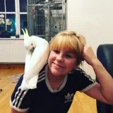 Emotional Sale Of Cockatoo Parrot Due To My HealthLovely Cuddly 
