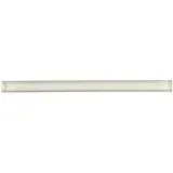 Temple Gray1x12 Polished Pencil Molding