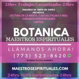 Botanicas cerca de Oswego IL