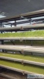 Fodder Growing System