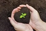 Get The Best Humic Acid Manufacturer In India