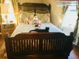 Dark walnut queen size bed with mattress and boxsprings