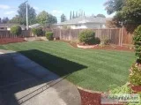 Affordable Concrete Lawn replacement