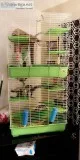 FerretsAccessories