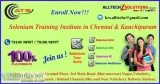 Best Selenium Training Institute in Chennai