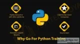 Python Training with Professionals