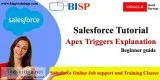 Apex Trigger explained with an example beginner guide