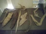 Pitch wood Pine Knots decor