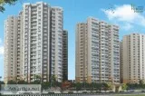 Apartment 2 BHK  Noida Extension91- 8750-488-588