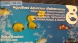 Aquarium Tech to Maintenance your Aquarium.