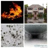 Free mold estimates