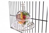 Foraging cage mount buffet ball