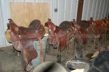 1 Lot of Horse Riding Equipment
