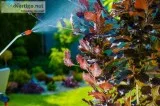 Pest Control In South Delhi - Pest Control South Delhi