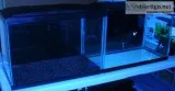2-20 gal. like new aquariums wfull hood and LED lights