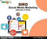 Social Media Marketing Agencies in Noida