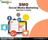 Social Media Marketing Agencies in Noida