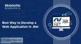 .NET Application Development Company