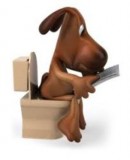 Hemet Supreme Poop Removal Service (951)-220-8608