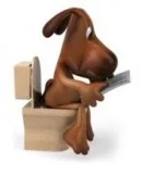 Hemet Supreme Poop Removal Service (951)-220-8608