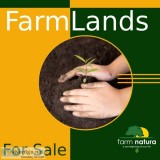 Farmlands for sale in Nednur - Maheshwaram.