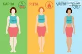 Body Dosha Test in Nagpur  Ayurveda Doshas - Parijatak