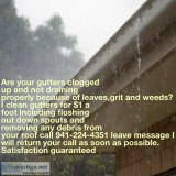 Gutter cleaning