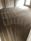 Professional carpet cleaning