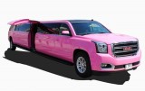 Dubai Limo Service  Dubai Exotic Limo