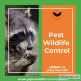 Pest wildlife control