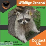 Wildlife Control Services