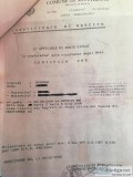 USCIS CERTIFIED ITALIAN TRANSLATION SERVICES