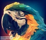 Hire Leading Graphic Design Companies