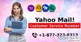 Yahoo Customer Service Number 1877-323-8313